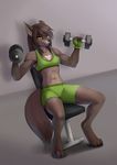  amber_eyes anthro bra breasts brown_fur brown_hair canine clothing female fingerless_gloves fur gloves gym hair long_hair looking_at_viewer mammal muscles muscular_female shorts sif sitting solo underwear weights wolf wyla_(character) 