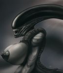  alien_(franchise) areola big_breasts black_body blind breasts fangs female nipples open_mouth portrait sharp_teeth solo teeth xenomorph xpray 