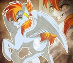  dennybutt equine female feral horse mammal my_little_pony original_character pegasus pony wings 