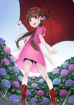  blue_eyes blush boots brown_hair duplicate flower from_behind hair_ornament hood hood_down hydrangea kyon_(fuuran) long_hair looking_at_viewer looking_back open_mouth original polka_dot rain red_footwear rubber_boots shorts smile solo teruterubouzu umbrella 