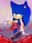  blood gloves gore green_eyes grotesque guts its_just_a_flesh_wound male ouch ow sega shoes solo sonic_(series) sonic_the_hedgehog sonical 