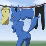  &#12360;&#12398;&#12435; ??? ambiguous_gender back_turned blue_body blush canine clothes_line clothespeg clothespin clothing coat_hanger covering embarrassed humor jackal laundry legwear looking_at_viewer looking_back lucario mammal nintendo nude outside pants pok&#233;mon pok&eacute;mon raised_tail red_eyes red_nose shirt shorts surreal sweat tights video_games washing_line wet 