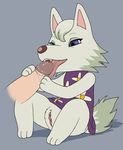  animal_crossing anthro canine disembodied_penis dontfapgirl fellatio female licking male mammal nintendo open_mouth oral oral_sex penis pussy sex shadow tongue tongue_out video_games whitney_(animal_crossing) wolf 