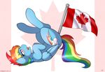  blue_fur blush canadian_flag cutie_mark dripping equine female feral friendship_is_magic fur hair horse insertion mammal multi-colored_hair my_little_pony open_mouth pegasus penetration pink_eyes pony pussy_juice rainbow_dash_(mlp) rainbow_hair raised_tail ratofdrawn saliva shaded solo tongue wings 