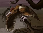  avian beak bird cave cloud desolate fearow feathers manlyshark night nintendo outside pok&#233;mon pok&eacute;mon rocks solo standing talons tree valley video_games wings 