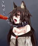  animal_ears bare_shoulders blank_eyes breasts brown_hair chain cleavage collar hiba_(p-p-purin) hot_dog imaizumi_kagerou large_breasts leash long_hair open_mouth pet pet_play red_eyes saliva sexually_suggestive solo tongue tongue_out touhou wolf_ears 