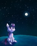  chickentech equine female feral friendship_is_magic horn horse mammal my_little_pony pony smile solo twilight_sparkle_(mlp) unicorn 