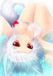  animal_ears bikini blush breasts inubashiri_momiji large_breasts looking_at_viewer lying no_hat no_headwear on_back partially_submerged red_eyes short_hair side-tie_bikini smile solo swimsuit tail touhou upside-down water white_hair wolf_ears wolf_tail wolflong 