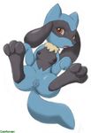  breasts female legs_up nintendo pok&#233;mon pok&eacute;mon presenting pussy riolu video_games 