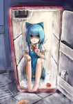  absurdres barefoot blue_eyes blue_hair cirno doughnut dress eating food fuuko_chan grate highres ice icicle in_container in_refrigerator looking_at_viewer milk_carton neck_ribbon open_mouth panties pantyshot pantyshot_(sitting) refrigerator ribbon short_hair short_sleeves sitting solo striped striped_panties tile_floor tiles tomato touhou underwear 