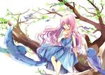  bird bison_cangshu blue_dress bluebird closed_eyes dress hand_on_own_chest in_tree long_hair open_mouth original pink_hair sitting sitting_in_tree smile solo tree tree_branch very_long_hair 