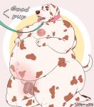 absurd_res anthro canid canine canis collar dalmatian domestic_dog erect_nipples flaccid foreskin genitals hi_res jacob_(treebarkdragon) leash leashed_collar male mammal nipples overweight overweight_male penis puffy_nipples solo text treebarkdragon