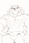 abs absurd_res anthro bulge canid canine canis clothing domestic_dog heylaw21 hi_res husky lifewonders line_art live_a_hero male mammal monomasa muscular muscular_anthro muscular_male nipples nordic_sled_dog pecs solo spitz underwear