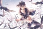  bird black_hair blue_eyes instocklee katana long_hair male_focus md5_mismatch noragami short_ponytail solo sword weapon yato_(noragami) 