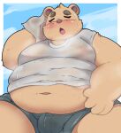 2024 4_fingers anthro bear belly big_belly blush bodily_fluids bottomwear bulge clothing cloud fingers hi_res inigo_(kusosensei) kemono kusosensei male mammal moobs navel overweight overweight_male shorts solo sweat