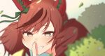  1girl animal_ears blurry blush brown_eyes brown_hair cowlick depth_of_field ear_covers finger_to_mouth green_ribbon hair_ribbon highres horse_ears horse_girl looking_at_viewer luca_hello_0520 nice_nature_(umamusume) ribbon smile soft_focus solo twintails umamusume 