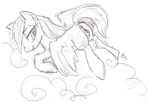  anus black_and_white buttercup_saiyan cloud cutie_mark equine equine_pussy female feral friendship_is_magic looking_back lying mammal monochrome my_little_pony open_mouth pegasus puffy_anus pussy rainbow_dash_(mlp) raised_tail signature sketch solo wings 