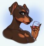 2024 alcohol anthro beverage black_nose breasts brown_body brown_fur bust_portrait canid canine canis container countershade_face countershade_fur countershading cup digital_media_(artwork) dobermann domestic_dog drinking_glass eyelashes female folded_ears fur glass glass_container glass_cup grey_eyes hi_res holding_beverage holding_object iivochka mammal markings pink_inner_ear pinscher portrait shaded simple_background solo tan_markings whisker_dots wine wine_glass