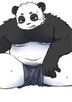 2024 anthro bear belly big_belly black_body black_nose blush bodily_fluids clothing giant_panda hi_res humanoid_hands kemono male mammal moobs navel overweight overweight_male sitting solo sweat tobyou_222 underwear white_body