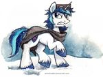  blue_eyes blue_hair cloak clothing cutie_mark equine friendship_is_magic hair horn male mammal mask messy_hair multi-colored_hair my_little_pony scarf shining_armor_(mlp) snow snowing solo sophiecabra tess_garman unicorn 