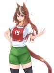  1girl animal_ears black_thighhighs brown_hair character_name closed_mouth commentary cowboy_shot earrings green_shorts gym_shirt gym_shorts gym_uniform hand_on_own_hip highres horse_ears horse_girl horse_tail jewelry kemuri_(etep3372) long_hair looking_at_viewer multicolored_hair purple_eyes race_bib shirt short_sleeves shorts simple_background single_earring smile solo standing streaked_hair symboli_rudolf_(umamusume) t-shirt tail thighhighs translated umamusume white_background white_hair white_shirt 