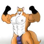  bardofox big_muscles bulge canine eyes_closed fox invalid_color macro male mammal muscles pecs penis plain_background pumped solo vein white_background 