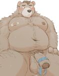 2024 anthro balls band-aid bandage bear belly big_belly black_nose bodily_fluids brown_body brown_fur fur genital_fluids genitals hagom hi_res kemono male mammal moobs navel nipples overweight overweight_male penis precum solo