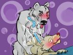 anal bear bodily_fluids hi_res leash male male/male mammal polar_bear saliva ursine