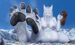 5_toes anthro barefoot black_pawpads breasts canid canine canis claws feet female foot_fetish fox hi_res landscape macro male mammal micro mountain nude pawpads paws red_eyes snow solo solutionwcs steam steamy_feet toes white_body