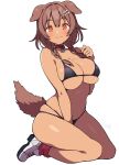  1girl :3 animal_ears batta_16-sei bikini black_bikini blush bone_hair_ornament braid breasts brown_hair commentary_request dark-skinned_female dark_skin dog_ears dog_girl dog_tail hair_between_eyes hair_ornament highres hololive inugami_korone large_breasts long_hair looking_at_viewer navel orange_eyes solo swimsuit tail tan twin_braids virtual_youtuber 