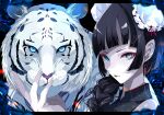  1girl black_hair blue_eyes braid braided_ponytail china_dress chinese_clothes double_bun dress earrings goma_irasuto hair_bun highres hime_cut jewelry long_hair looking_at_viewer nail_polish original signature tiger white_tiger 