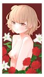  1girl blush border breasts brown_eyes brown_hair closed_mouth completely_nude flower from_side garaku_hfd hair_bun half-closed_eyes hatoba_tsugu highres lily_(flower) looking_at_viewer looking_to_the_side medium_breasts mole mole_under_eye nipples nude raised_eyebrows red_background red_flower red_rose rose short_hair simple_background single_side_bun smile solo tsugu_(vtuber) upper_body virtual_youtuber white_border white_flower 