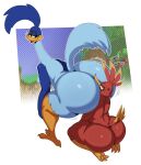 2024 2_toes 3_toes absurd_res anthro avian banjo-kazooie big_butt biped bird butt cross-popping_vein digital_media_(artwork) duo face_in_ass feet female female/female hi_res huge_butt kazooie looking_back looney_tunes rareware rear_view road_runner_(looney_tunes) simple_background sssonic2 thick_thighs toes warner_brothers wide_hips