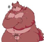  2024 4_fingers anthro balls belly big_belly brown_body brown_fur canid canine canis crossed_arms domestic_dog fingers flaccid foreskin fur genitals hi_res humanoid_genitalia humanoid_hands humanoid_penis kemono male mammal micropenis nude overweight overweight_male penis pubes simple_background small_penis solo suishou0602 unretracted_foreskin white_background 