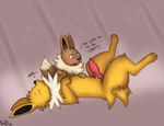  eevee eeveelution english_text erection jolteon male nintendo penis pok&#233;mon pok&eacute;mon razile text video_games virgin 