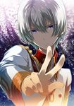  kakumeiki_valvrave l-elf male_focus military military_uniform petals purple_eyes sakurana_haru silver_hair sky solo star_(sky) starry_sky uniform v 