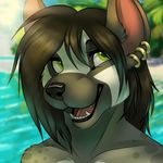  beach black_hair fur green_eyes grey_fur hair hyena ifus mammal meer mustelid piercing seaside short_hair spots teeth tongue 