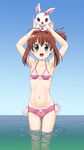  :d ahoge animal animal_on_head armpits arms_up bangs beads bikini blush brown_hair bunny cameltoe cherry collarbone day flat_chest flower food frilled frilled_bikini frills fruit fuji_shinobu green_eyes hair_flower hair_intakes hair_ornament happy highres hip_bones jewelpet_(series) jewelpet_twinkle jewelry navel necklace on_head open_mouth outdoors pink_bikini red_eyes ruby_(jewelpet) sakura_akari short_hair side-tie_bikini side_ponytail sidelocks sky smile standing swimsuit wading water 