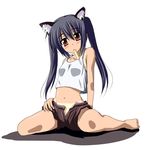  animal_ears barefoot black_hair blush brown_eyes cat_ears food full_body head_tilt k-on! long_hair looking_at_viewer midriff mister_(black_and_white) mouth_hold nakano_azusa popsicle shirt_tan shorts_tan simple_background sitting solo tan tanline twintails unzipped wariza white_background 
