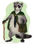  cane cloak feral male mammal raccoon solo thewhitefalcon 