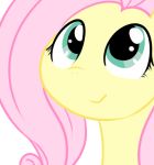  2012 doneru equine fluttershy_(mlp) friendship_is_magic mammal my_little_pony simple_background solo 
