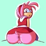  anus female fupoo looking_at_viewer looking_back pussy sega solo sonic_(series) sonic_boom 