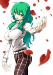  belt breasts contemporary green_hair highres kazami_yuuka kazami_yuuka_(pc-98) large_breasts long_hair mattari_yufi orange_eyes pants petals simple_background solo touhou touhou_(pc-98) white_background 