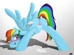  absurd_res anus blue_fur blush butt cutie_mark equine eyelashes female feral friendship_is_magic fur hair hi_res ihavnoname mammal multi-colored_hair my_little_pony pegasus presenting presenting_hindquarters pussy rainbow_dash_(mlp) rainbow_hair shadow solo wings 