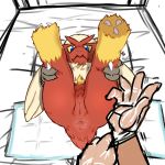  2016 anthro anus avian bed blaziken blue_eyes butt claws clothing duo feathers female first_person_view gloves haganedon human legs_up looking_at_viewer lying mammal medical_gloves nintendo on_back on_bed pok&eacute;mon pok&eacute;mon_(species) pussy red_feathers solo_focus video_games yellow_feathers yellow_sclera 