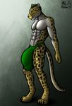  4_toes abs anthro aolun biceps black_hair body_markings bulge cheetah clothed clothing feline fur green_eyes green_hair hair hyper king_cheetah looking_at_viewer male mammal markings muscles paws pecs plain_background pose solo spots thong toes toned topless underwear white_fur yellow_fur 