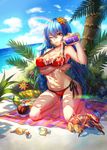  bangs barefoot beach beach_towel bikini blue_hair blue_sky bottle braid breast_hold breasts cloud cocktail cocktail_umbrella coconut coconut_crab coconut_tree collarbone conch crab day drinking_straw flower fruit_cup full_body hair_between_eyes hair_flower hair_ornament highres horizon innertube kneeling large_breasts long_hair looking_at_viewer lotion lotion_bottle million_arthur_(series) ocean on_ground one_eye_closed orange_eyes outdoors palm_tree parted_lips plant pouring rainbow red_bikini seashell shade shadow shell side-tie_bikini sky smile solo spilling strap_gap sunlight sunscreen swimsuit tako_seijin towel tree tree_shade tropical_drink twin_braids very_long_hair wet 