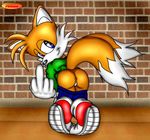  anthro anus bent_over butt canine fox foxczer male mammal miles_prower presenting sega solo sonic_(series) 