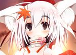  animal_ears autumn_leaves bare_shoulders blush detached_sleeves grey_eyes hair_ornament hat inubashiri_momiji leaf leaf_hair_ornament looking_at_viewer pom_pom_(clothes) short_hair silver_hair smile solo sukage tokin_hat touhou wolf_ears 