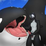  2014 anthro balls big_penis cetacean cum cum_in_mouth cum_inside cumshot erection feral male mammal marine masturbation nude oral orca orgasm penis pink_penis red_eyes sex size_difference tongue whale x03 